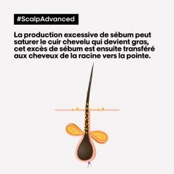 Shampooing Dermo-purifiant Anti Gras Scalp Advanced L'Oréal 1500ml -Magasin De Soins Capillaires 3474637106416 4 47452.1684847766