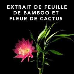 Volupt Spray Sebastian 150ml 7 Volupt Spray Sebastian 150ml -Magasin De Soins Capillaires 52361 4 35228.1688735230