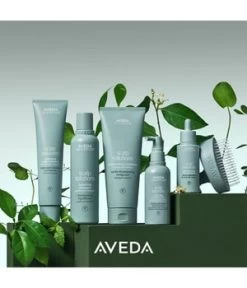 Aveda Scalp Solutions Stimulating Scalp Massager Brosse Tangle -Magasin De Soins Capillaires aveda scalp solutions stimulating scalp massager no tangle buerste 1 stk 0018084047057 visual3