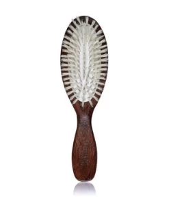 Christophe Robin Travel Hairbrush Brosse Tangle
