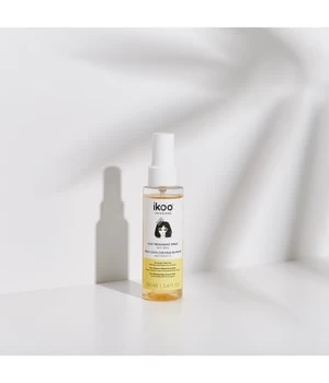 Ikoo Duo Treatment Spray Anti-frizz Laque Cheveux 3 Ikoo Duo Treatment Spray Anti-frizz Laque Cheveux – Image 3